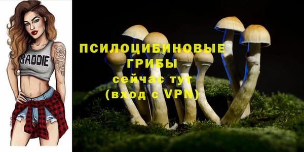первитин Елизово