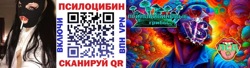 Купить где  Спас-Деменск  Псилоцибиновые грибы Cubensis 